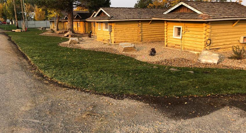 New Landscaping